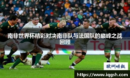 南非世界杯精彩对决南非队与法国队的巅峰之战回顾